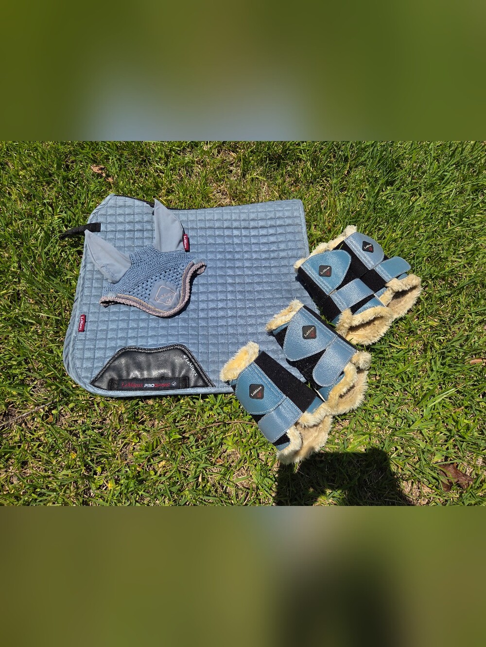 LeMeiux Dressage Set